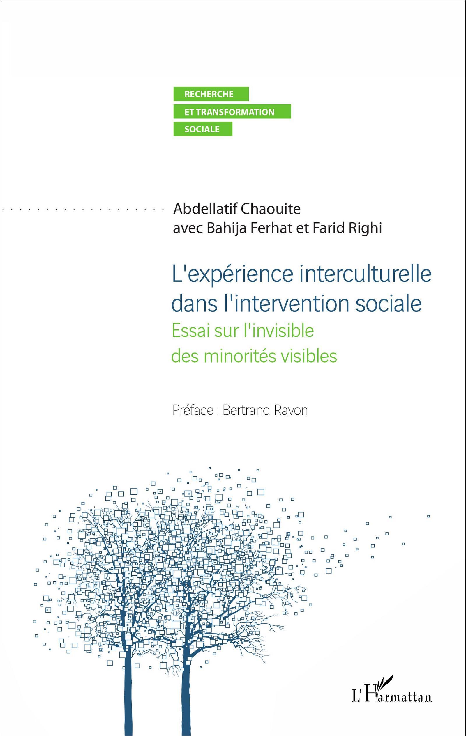 L'expérience interculturelle dans l'intervention sociale, Essai sur l'invisible des minorités visibles (9782343093895-front-cover)