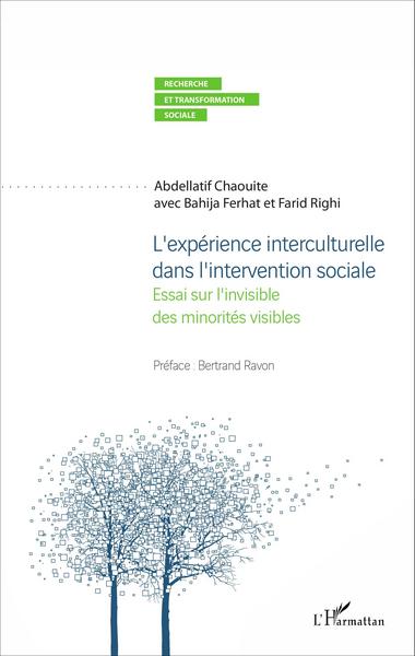 L'expérience interculturelle dans l'intervention sociale, Essai sur l'invisible des minorités visibles (9782343093895-front-cover)