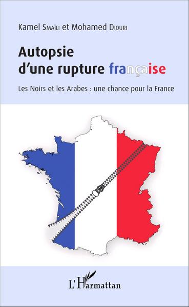 Autopsie d'une rupture française, Les Noirs et les Arabes : une chance pour la France (9782343093819-front-cover)