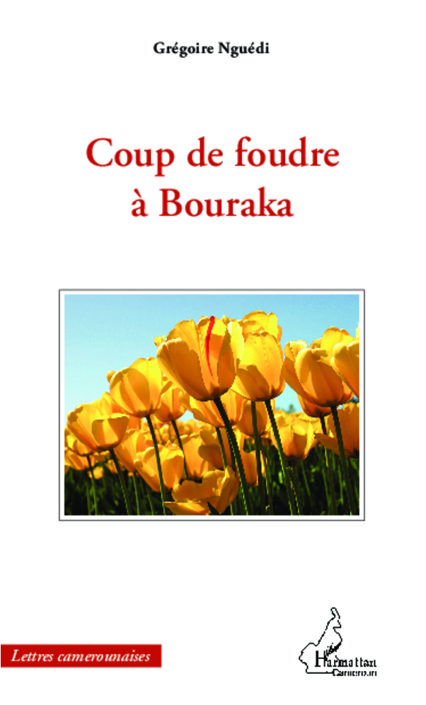 Coup de foudre à Bouraka (9782343001715-front-cover)