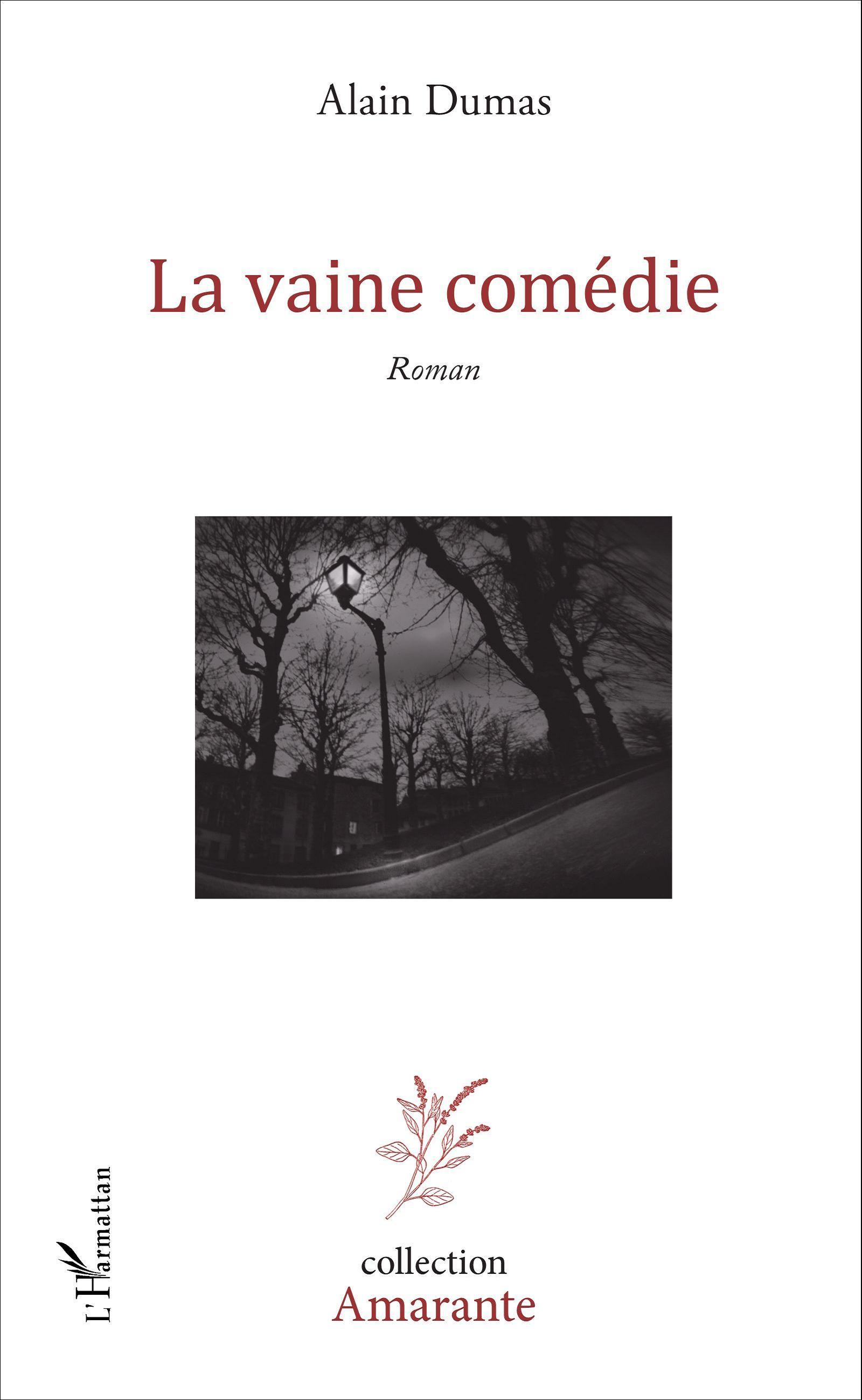 La vaine comédie, Roman (9782343086781-front-cover)