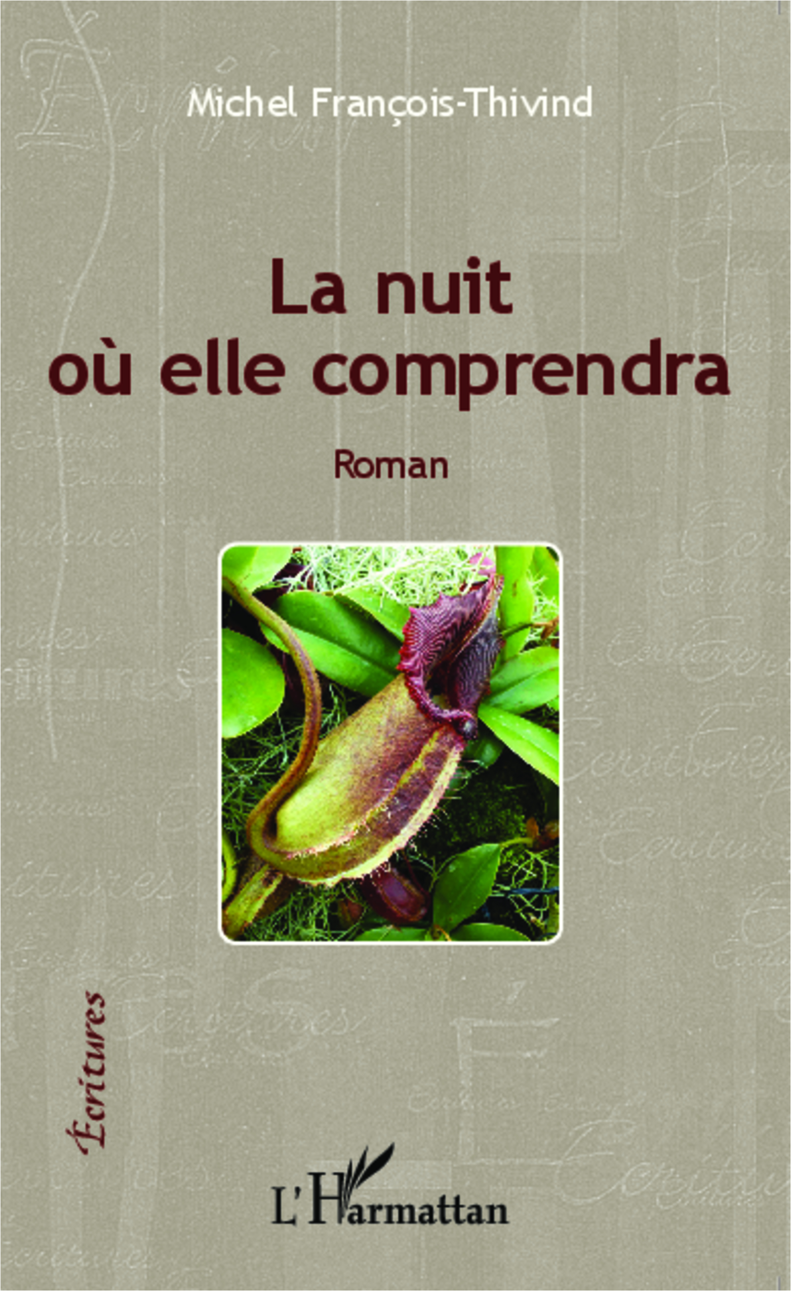 La nuit où elle comprendra, Roman (9782343037486-front-cover)