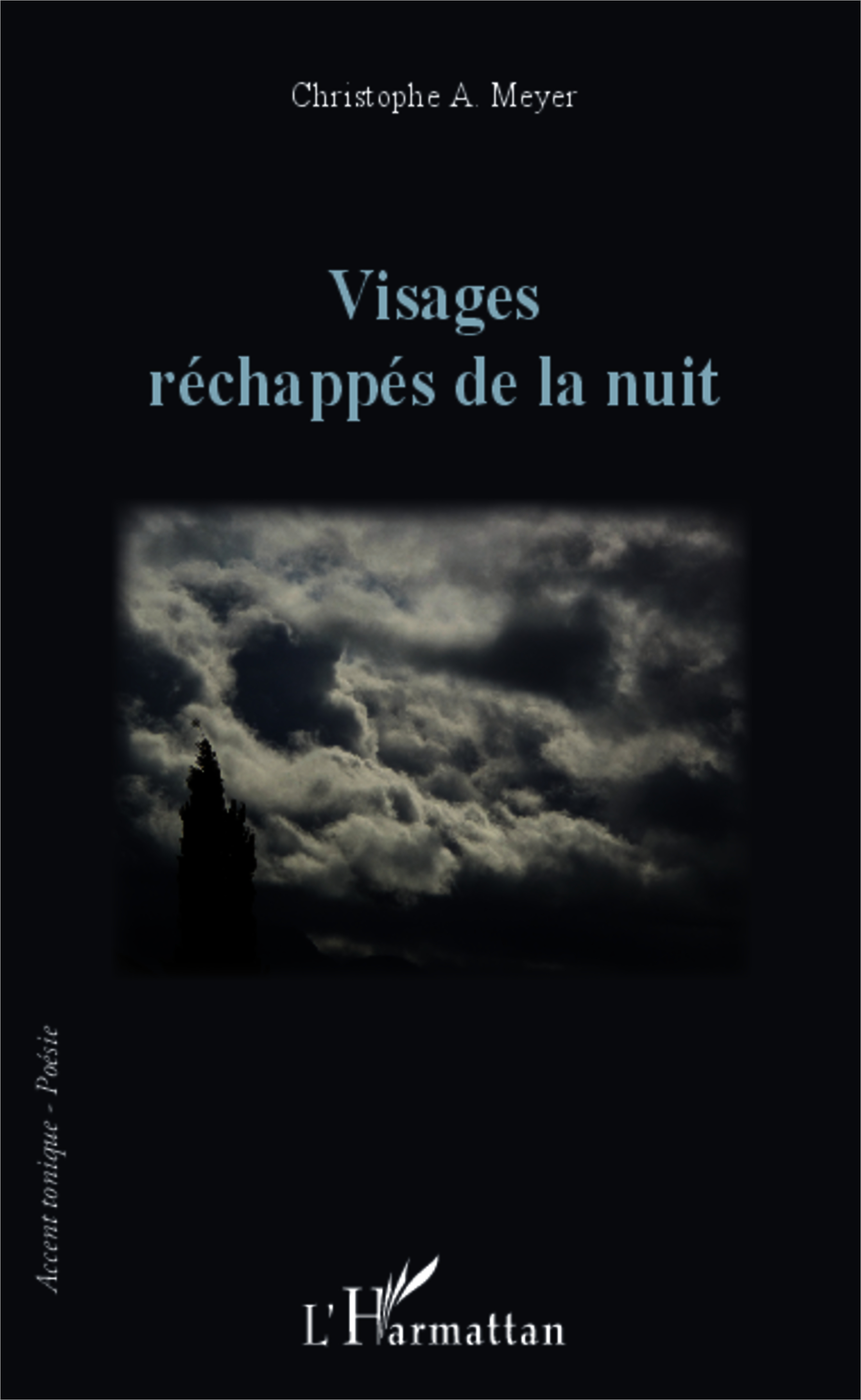 Visages réchappés de la nuit (9782343021713-front-cover)