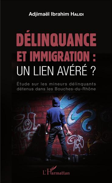 Délinquance et immigration : un lien avéré ?, Étude sur les mineurs délinquants détenus dans les Bouches-du-Rhône (9782343097664-front-cover)