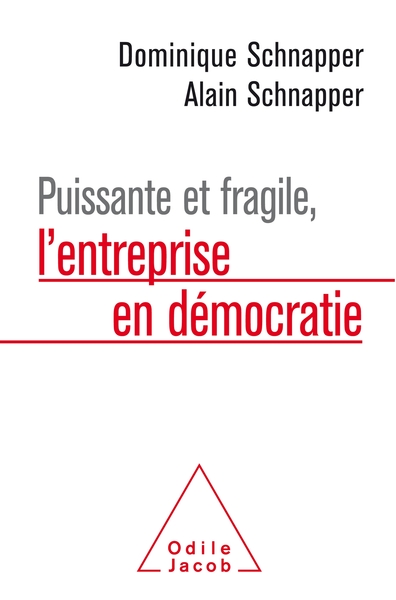Puissante et fragile, l'entreprise en démocratie (9782738153692-front-cover)