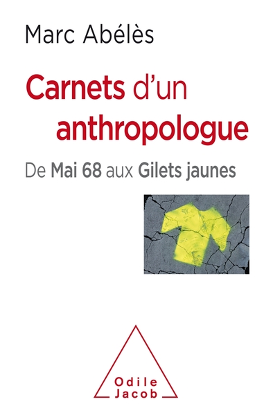 Carnets d'un anthropologue, De mai 68 aux gilets jaunes (9782738149558-front-cover)