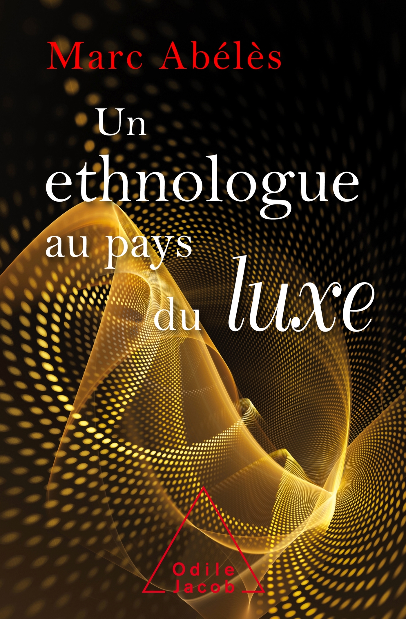 Un Ethnologue au pays du luxe (9782738143914-front-cover)