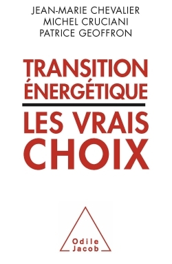 Transition énergétique : les vrais choix (9782738130143-front-cover)