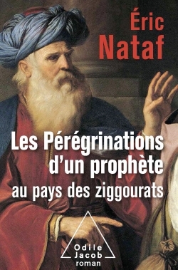 Les Pérégrinations d'un prophète au pays des ziggourats (9782738128065-front-cover)