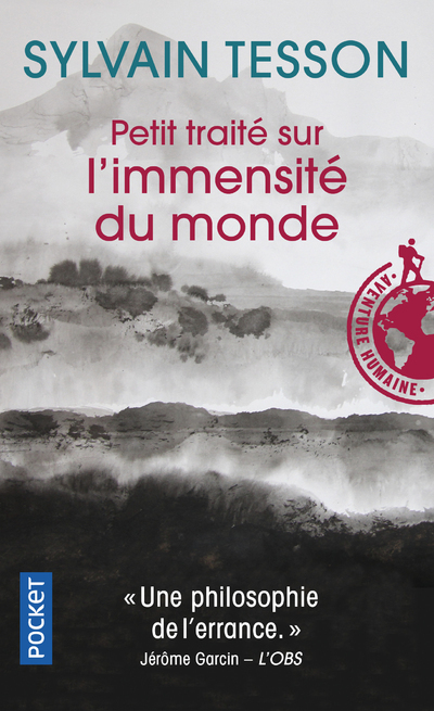 Petit traité sur l'immensité du monde (9782266167598-front-cover)