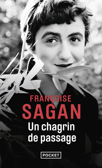 Un chagrin de passage (9782266195591-front-cover)