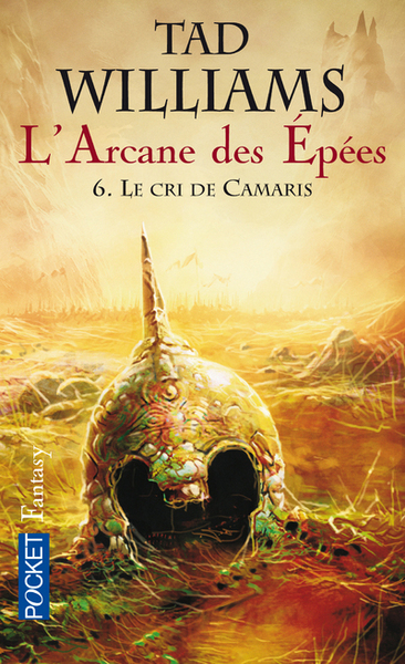 L'Arcane des Epées - tome 6 Le cri de Camaris (9782266192125-front-cover)