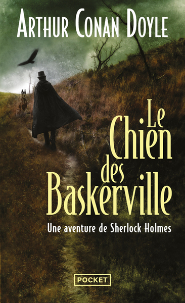 Le chien des Baskerville (9782266152501-front-cover)