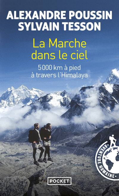 La marche dans le ciel (9782266159685-front-cover)