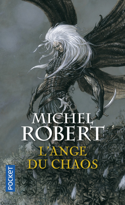 L'agent des ombres - tome 1 L'ange du chaos (9782266174138-front-cover)