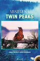 Mystères à Twin Peaks (9782324037351-front-cover)