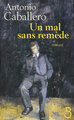 Un mal sans remède (9782714444837-front-cover)