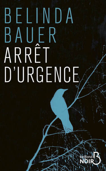 Arrêt d'urgence (9782714480835-front-cover)