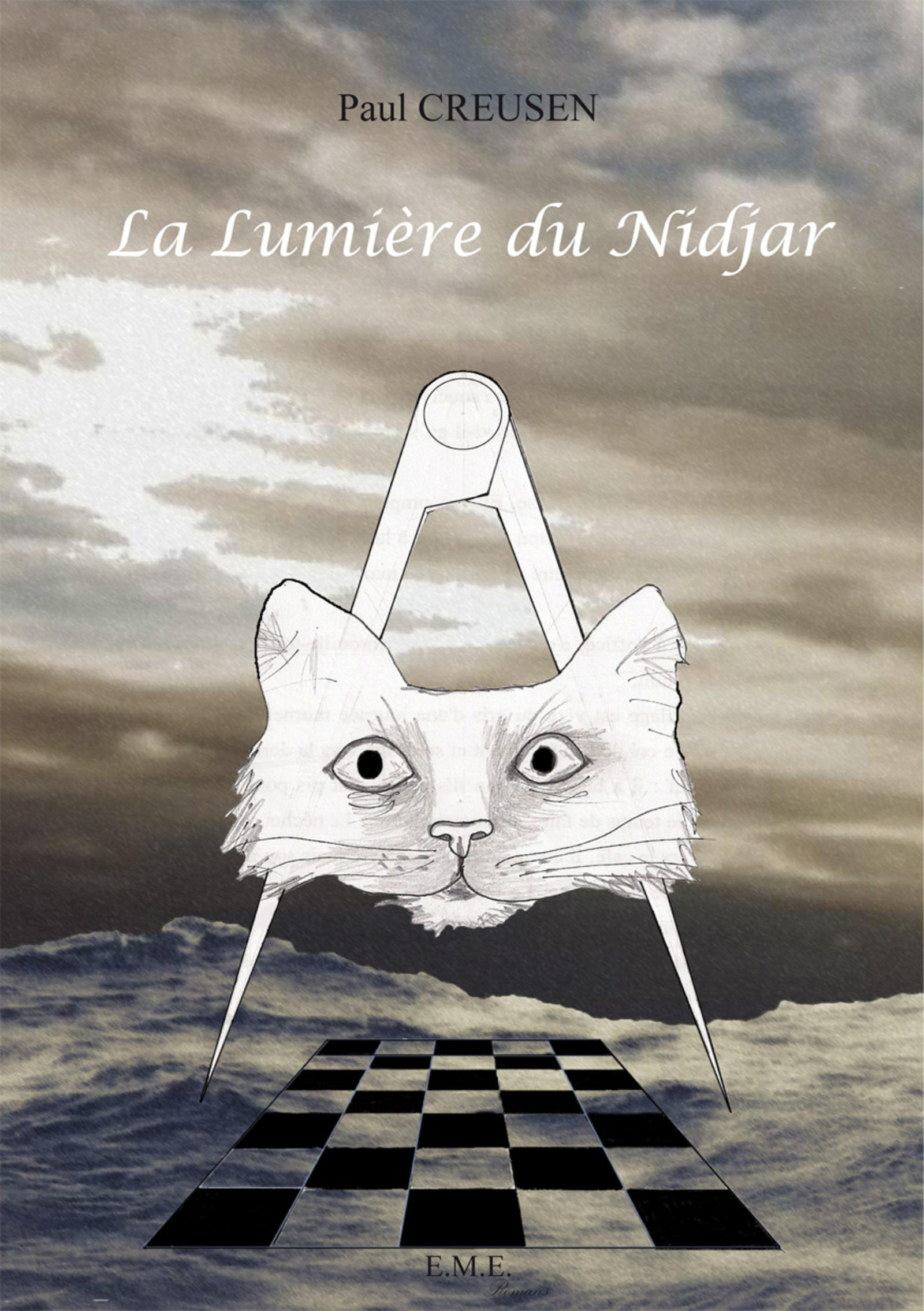 La lumiere du Nidjar (9782875250599-front-cover)