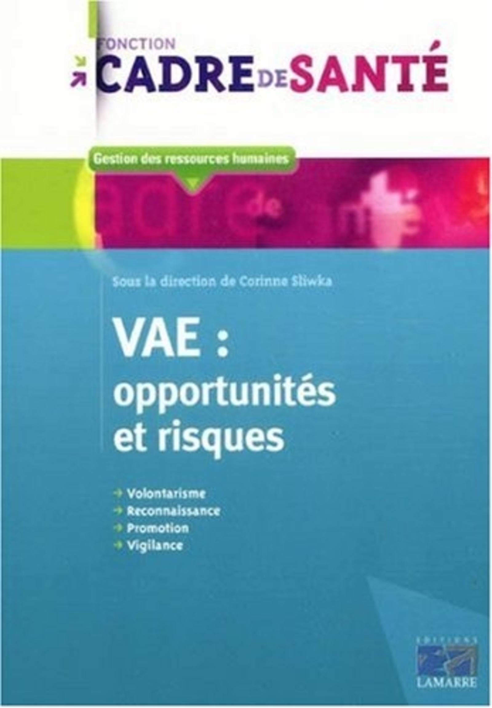 VAE: opportunités et risques (9782757303047-front-cover)