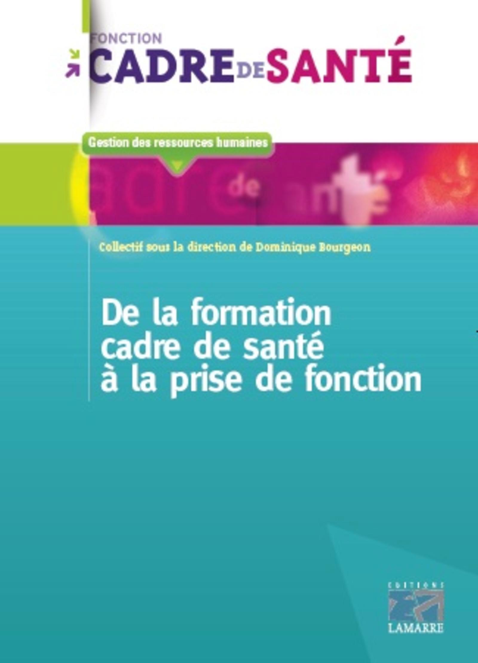 De la formation de cadre de santé à la prise de fonction (9782757309780-front-cover)