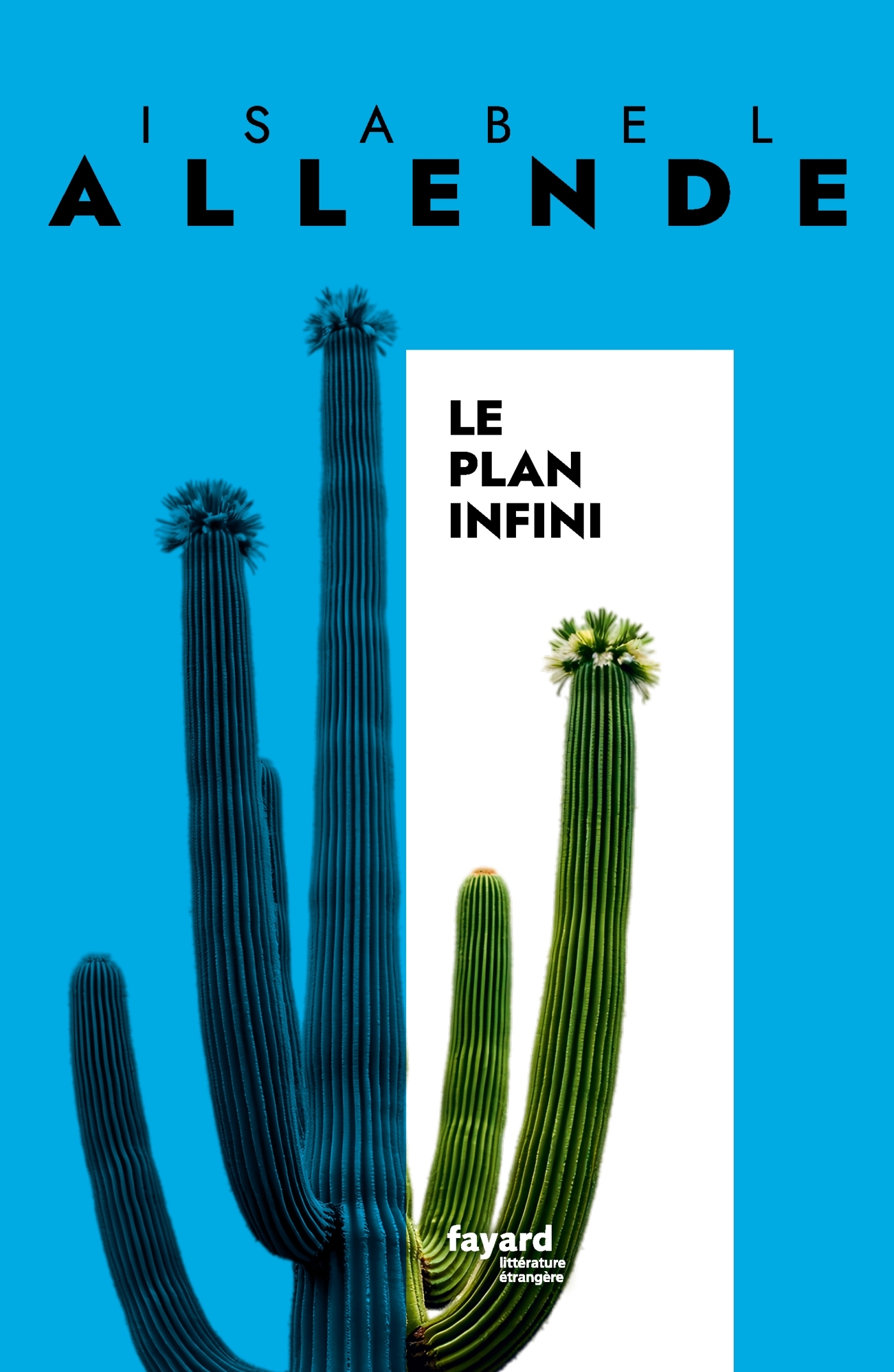 Le Plan infini (9782213721408-front-cover)