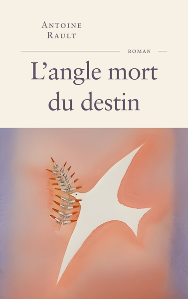 L'angle mort du destin (9782213732015-front-cover)