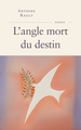 L'angle mort du destin (9782213732015-front-cover)