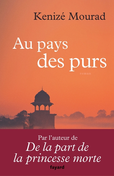 Au pays des purs (9782213704982-front-cover)