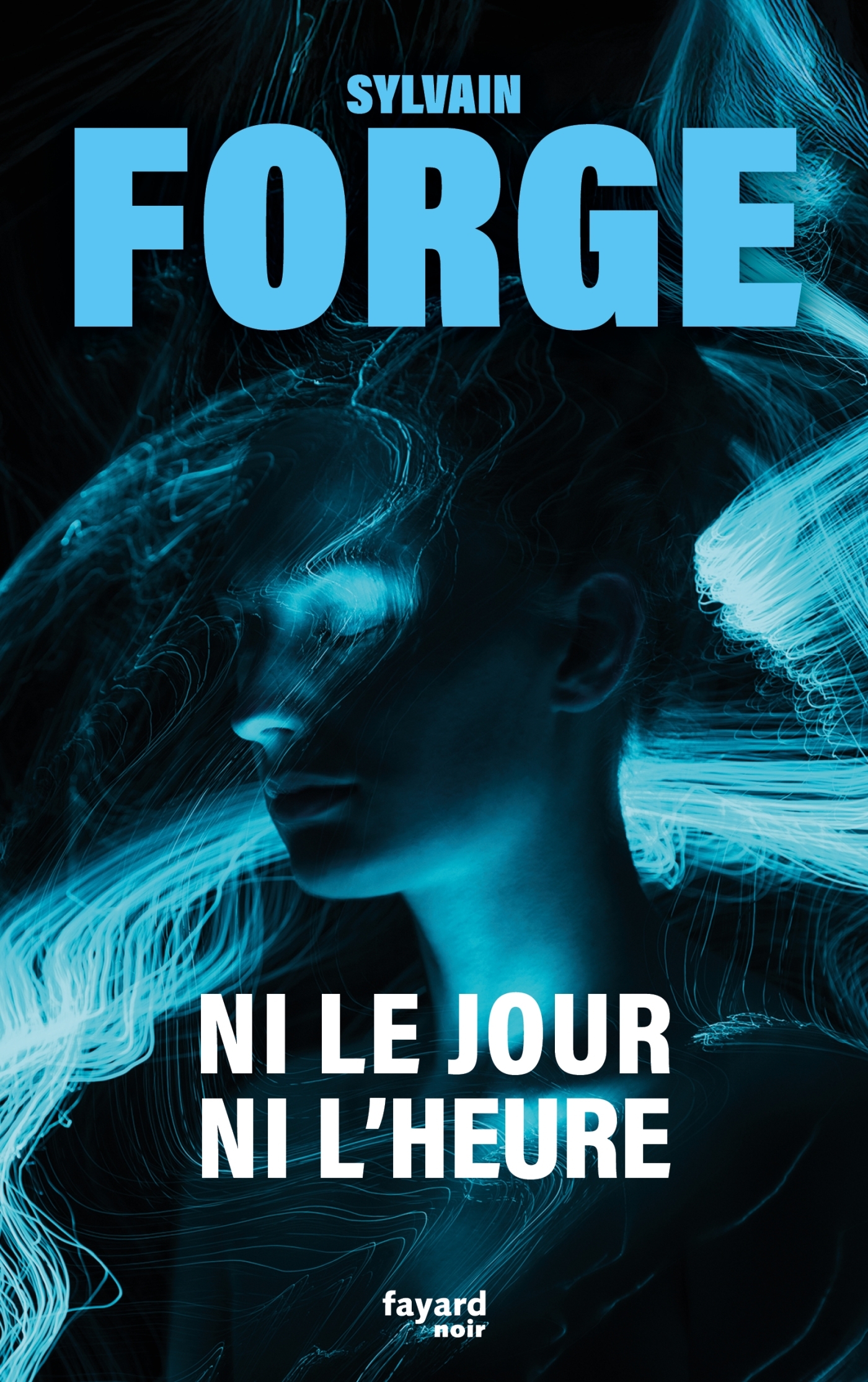 Ni le jour ni l'heure (9782213732053-front-cover)