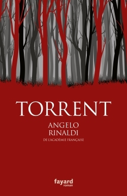 Torrent (9782213701745-front-cover)