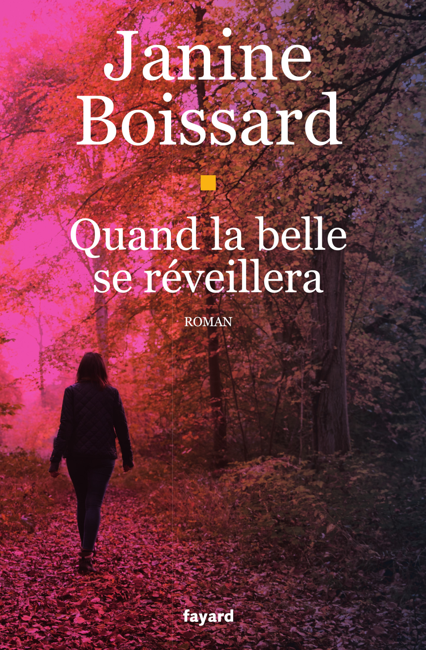 Quand la belle se réveillera (9782213722153-front-cover)