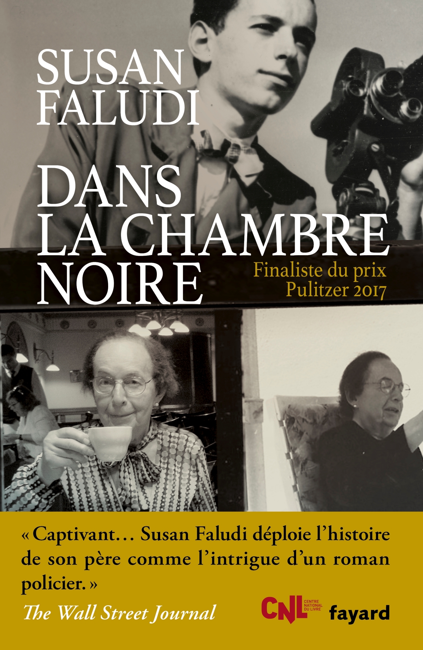 Dans la chambre noire (9782213701011-front-cover)