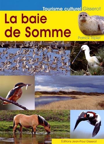 La baie de Somme (9782755805352-front-cover)
