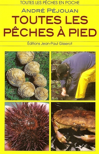 TOUTES LES PECHES A PIED (9782755801316-front-cover)