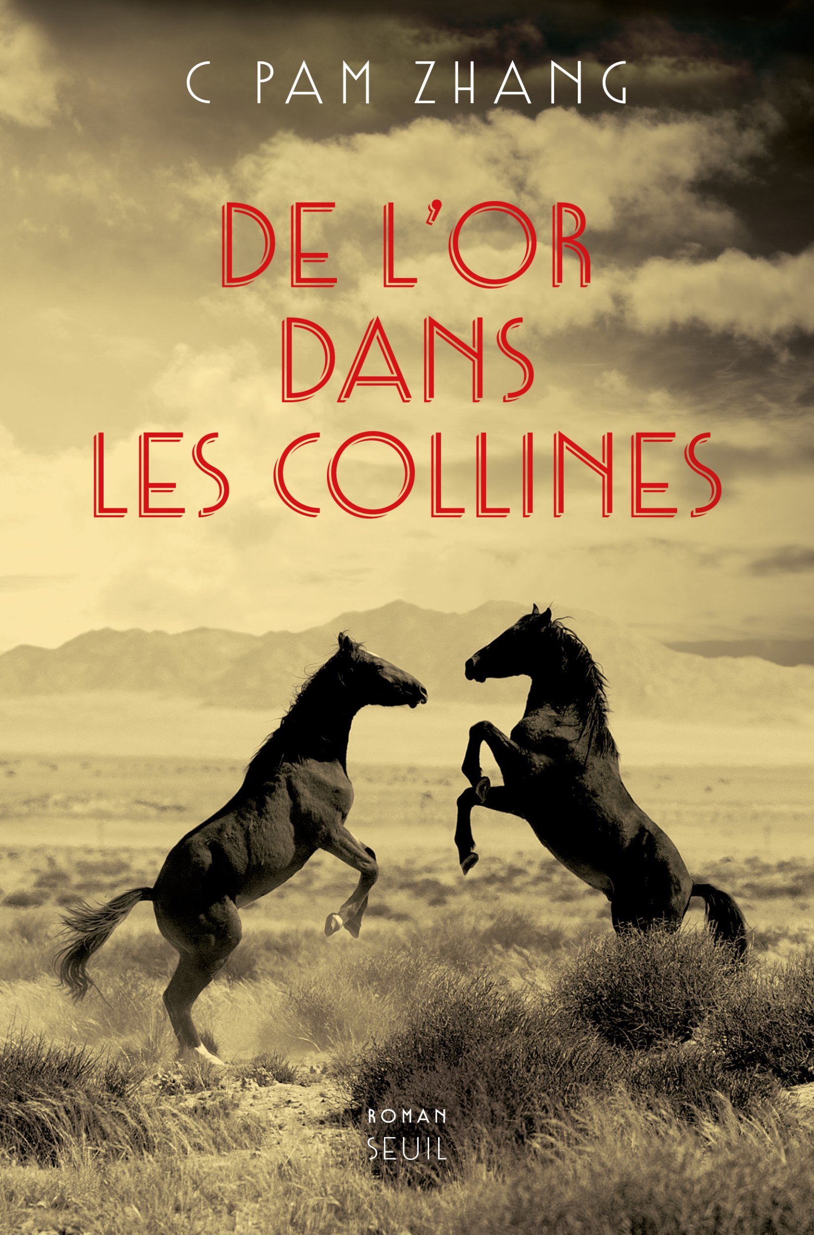 De l'or dans les collines (9782021395938-front-cover)