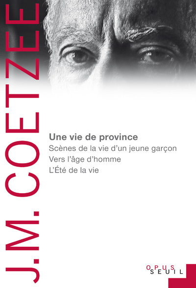 Une vie de province, Scènes de la vie d'un jeune garçon, Vers l'âge d'homme, LÉté de la vie (9782021353457-front-cover)