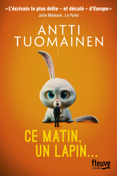CE MATIN, UN LAPIN (9782265155497-front-cover)