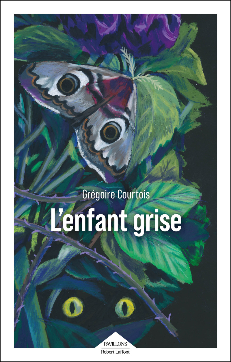 L'Enfant grise (9782221284520-front-cover)