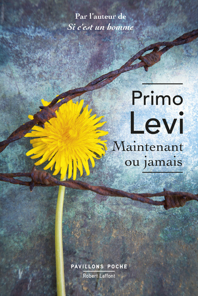 Maintenant ou jamais - Pavillons Poche (9782221249499-front-cover)