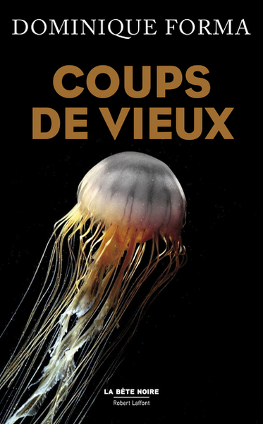 Coups de vieux (9782221203231-front-cover)