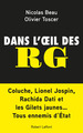 Dans l'oeil des RG (9782221220818-front-cover)