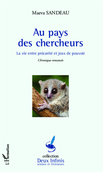 Au pays des chercheurs, La vie entre précarité et jeux de pouvoir - Chronique romancée (9782336002989-front-cover)