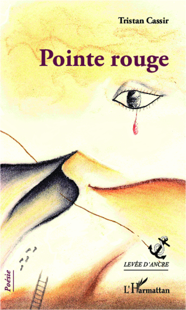 Pointe rouge (9782336008165-front-cover)