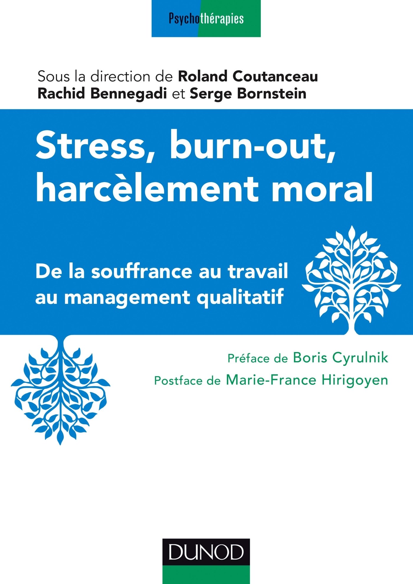 Stress, burn-out, harcèlement moral - De la souffrance au travail au management qualitatif, De la souffrance au travail au manag (9782100743353-front-cover)