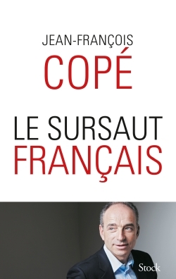 LE SURSAUT FRANCAIS (9782234081147-front-cover)