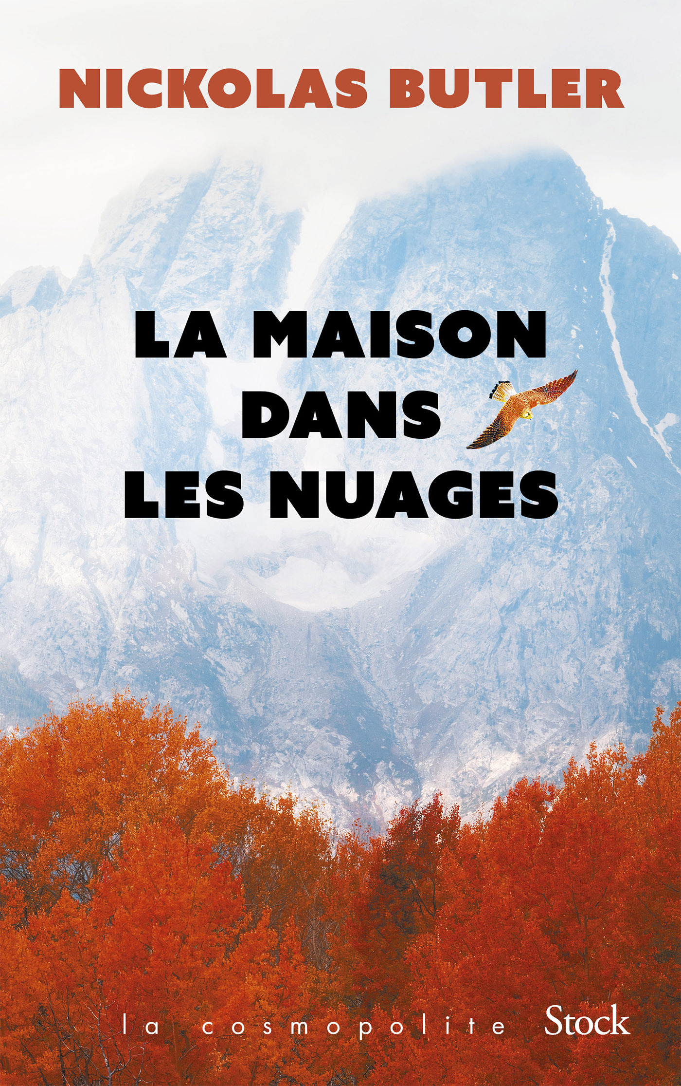 La maison dans les nuages (9782234090125-front-cover)