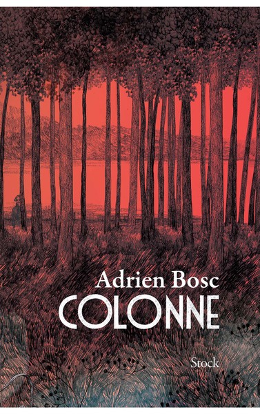 Colonne (9782234079670-front-cover)