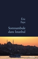 Somnambule dans Istanbul (9782234071964-front-cover)