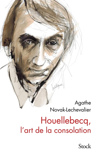 Houellebecq, l'art de la consolation (9782234086111-front-cover)